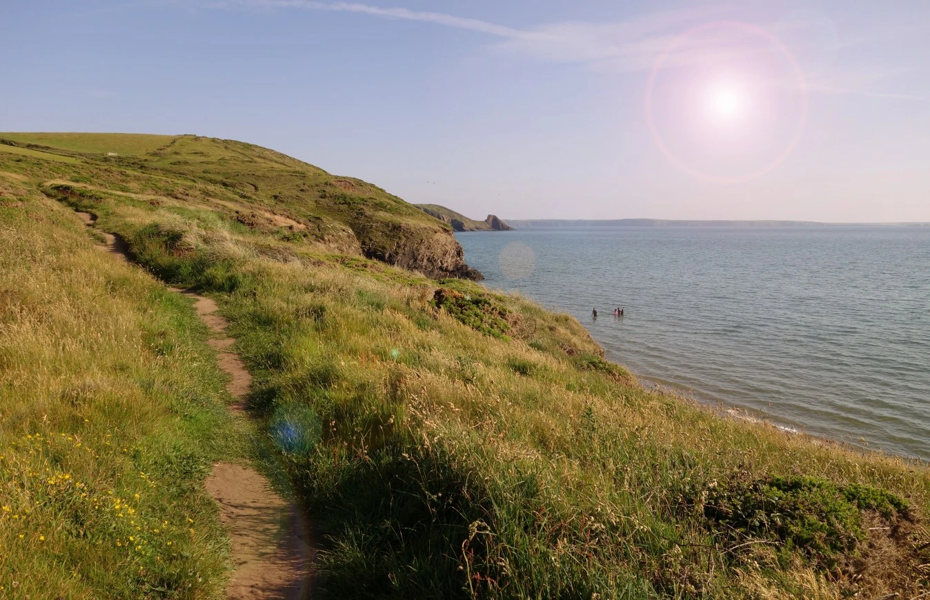 Path 3 Gimp