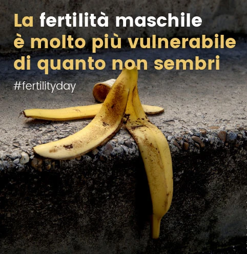 Banana Image 5