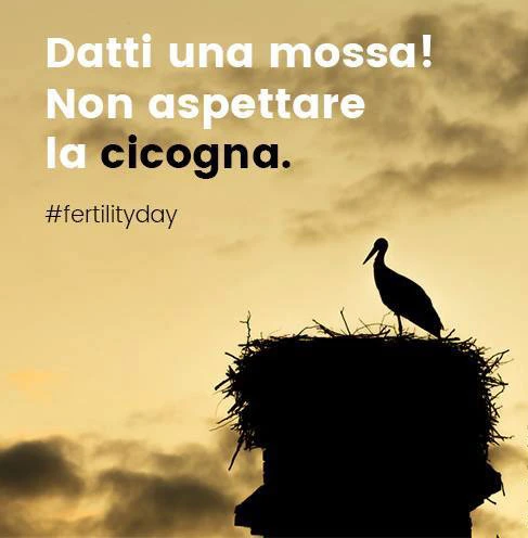 Stork Image 1