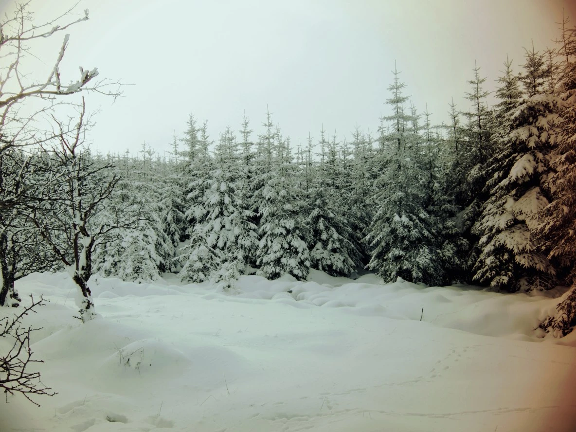 cyan-mountains-feb-09-032