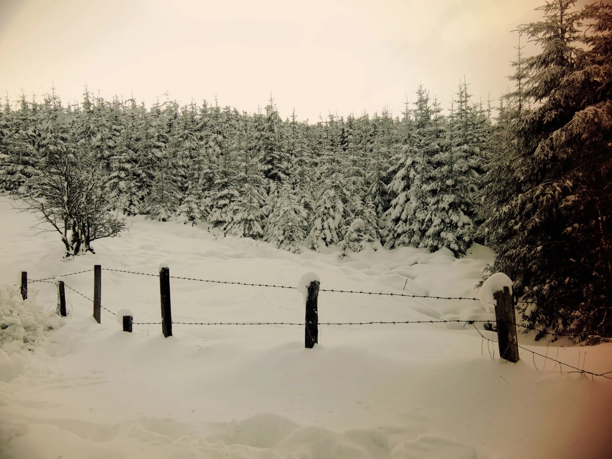 filter-mountains-feb-09-035