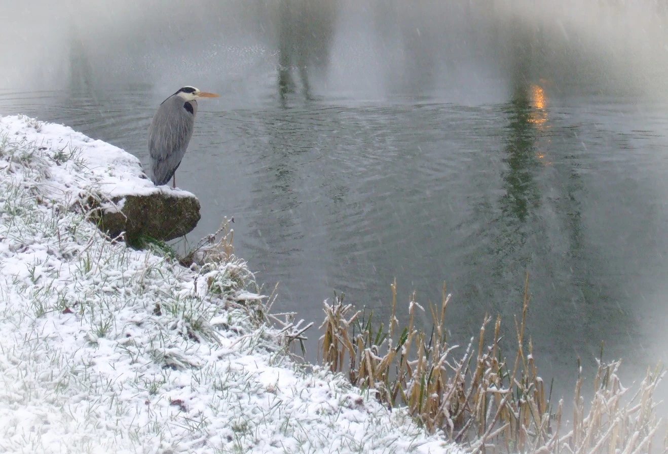 january-2009-131